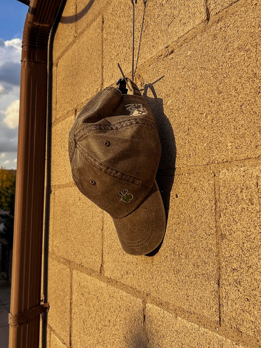 TOON Vintage Cap